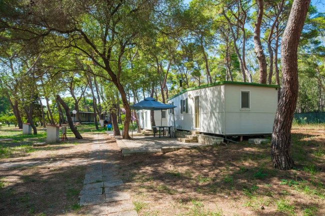 Una casa mobile bianca in un'area boschiva con alberi alti e un sentiero pavimentato.