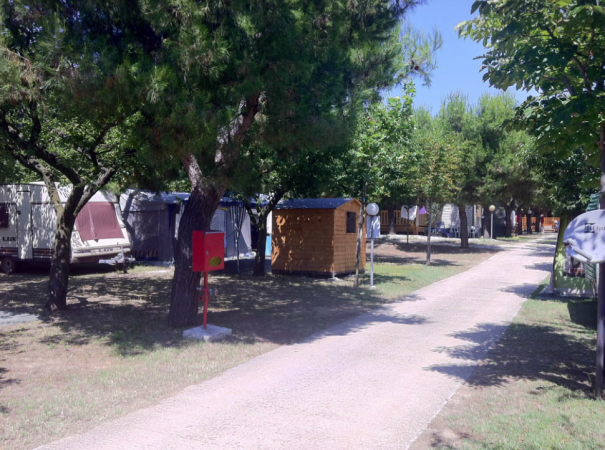Area campeggio con caravan, bungalow di legno e alberi lungo un sentiero.