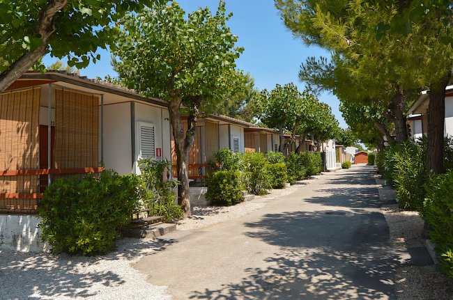 Bungalows lungo un viale alberato, con siepi verdi e tetti di tende di bambù.