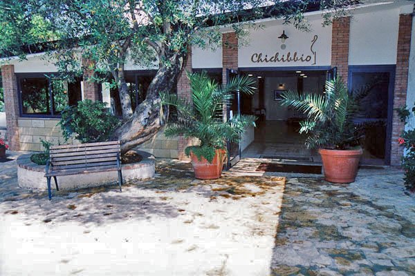 Ingresso di un edificio con piante in vaso ed un albero, scritta 