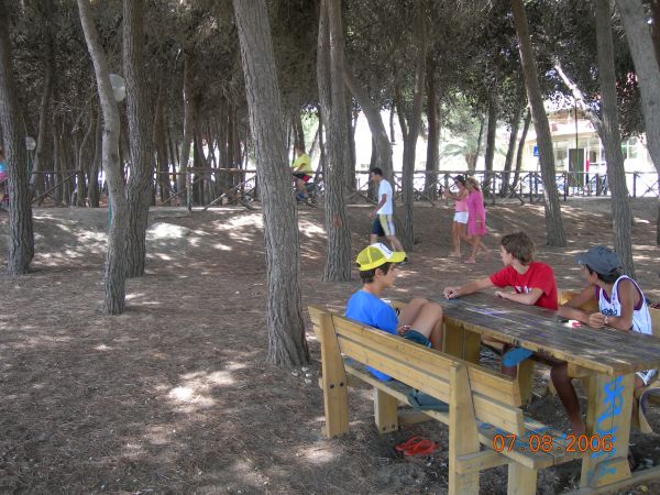 Ragazzi seduti a un tavolo nel bosco mentre altri giocano tra gli alberi.