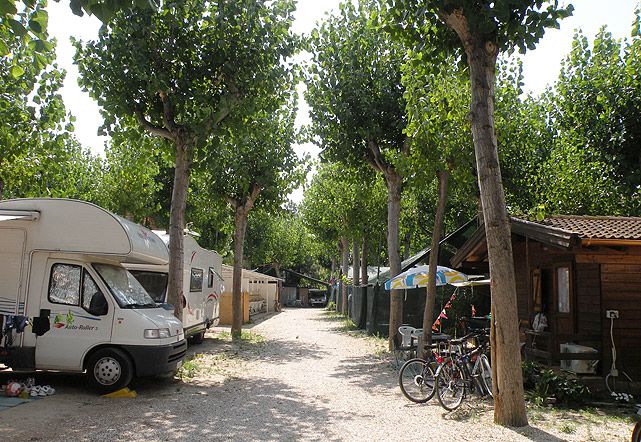 Camper parcheggiati lungo un viale alberato con biciclette accanto.
