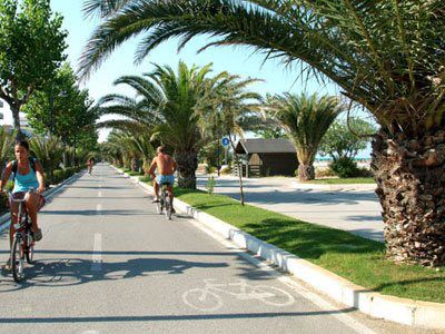 Pista ciclabile fiancheggiata da palme sotto un cielo azzurro, con persone che pedalano.