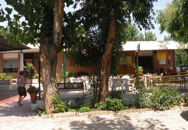 Area esterna di un caffè all'aperto con tavoli e sedie, circondata da alberi e piante.