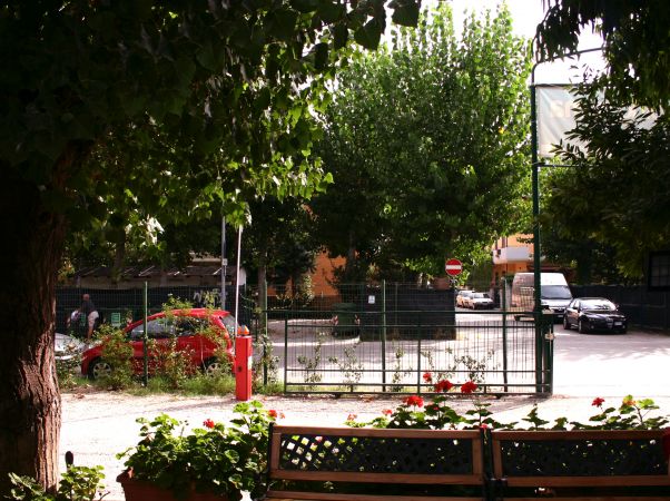 Panchina in un giardino con alberi, vista su una strada con auto e segnali stradali.