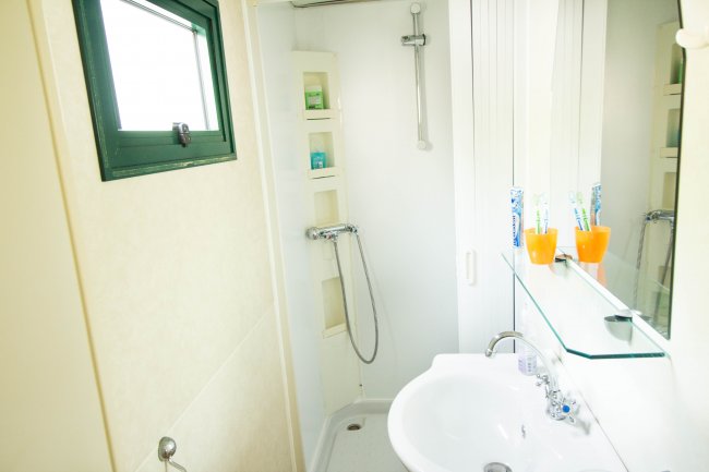 Bagno con doccia e lavabo.