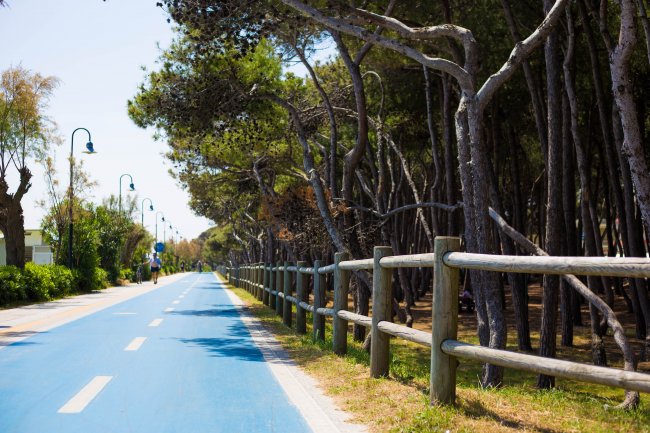 Strada ciclabile blu tra alberi e lampioni.