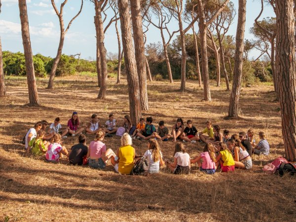 Un gruppo di persone sedute in cerchio tra alberi alti in una radura.