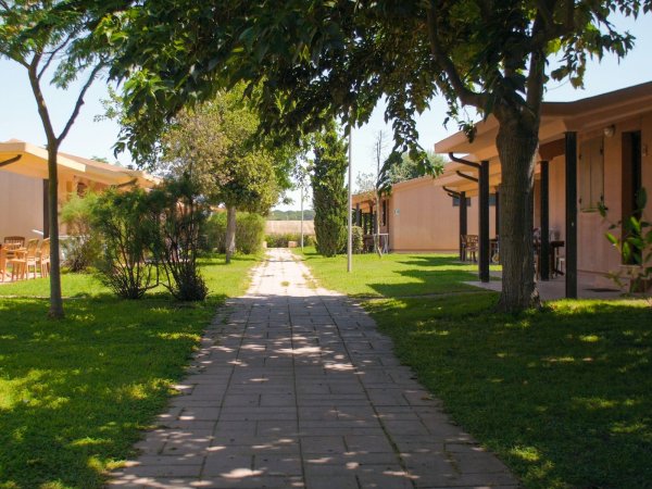 Sentiero pavimentato tra case e alberi, con erba verde intorno.