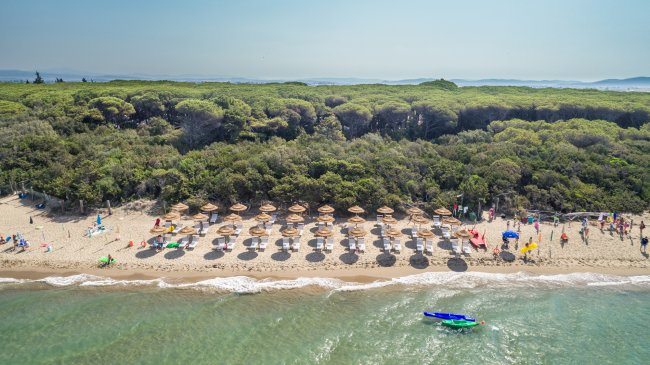 Spiaggia con ombrelloni e vegetazione rigogliosa sullo sfondo.