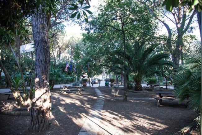 Sentiero e panchine in un'area verde con palme e alberi, bandiere sullo sfondo.