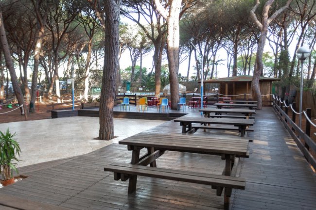 Tavoli da picnic di legno su una terrazza, circondati da pini e sedie colorate.