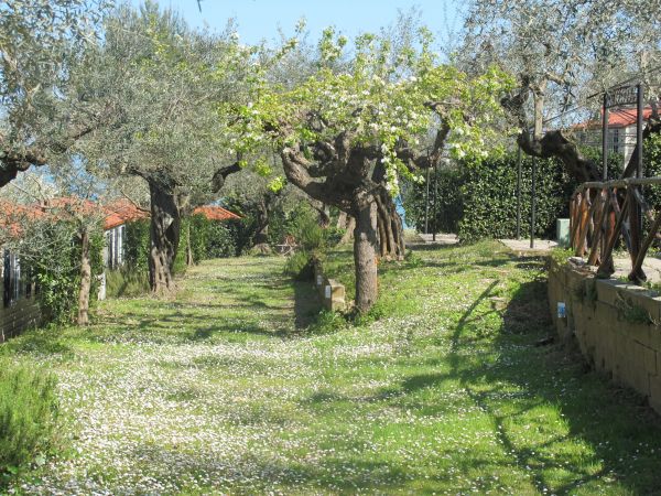 Europe Garden Club Eco & Sport Resort (TE) Abruzzo