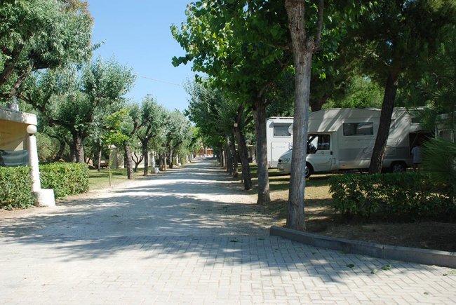 Un sentiero pavimentato tra alberi con un camper parcheggiato a destra.