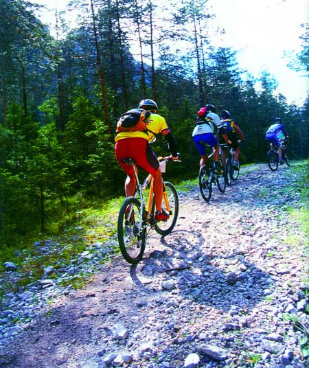Ciclisti in fila su un sentiero sterrato in un bosco.