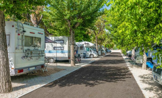 Strada ombreggiata con camper parcheggiati ai lati.