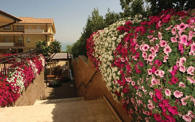 Scale con fiori colorati ai lati.