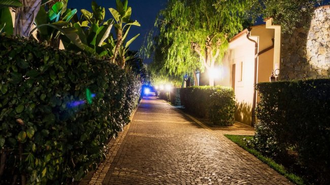 Viale di sera con siepi e luci soffuse.