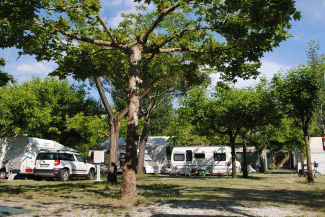 Camper parcheggiati tra alberi in un'area verde.