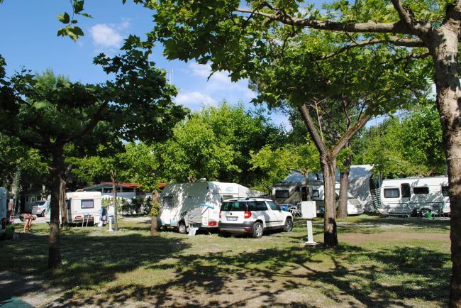 Un campeggio con caravan e auto sotto alberi verdi.